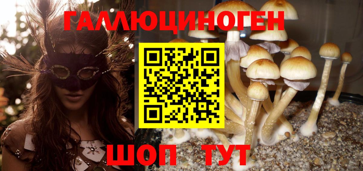 Каменка  Галлюциногенные грибы мицелий  Вход с VPN 