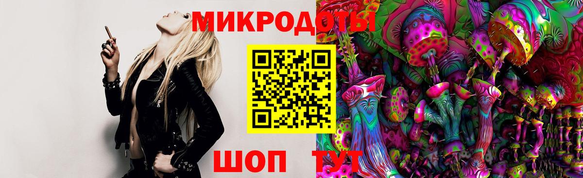 Псилоцибиновые грибы прущие грибы Каменка
